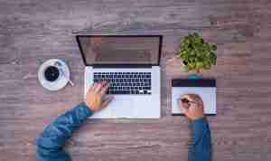 website design trends