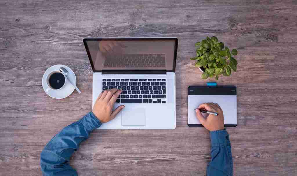 website design trends